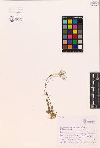 SW_BNB_s3080-00200_IMG-0000000001