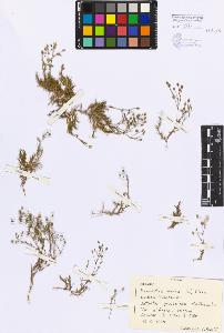 SW_BNB_s3080-00201_IMG-0000000001