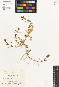 SW_BNB_s3080-00202_IMG-0000000001