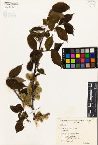 SW_BNB_s3080-00203_IMG-0000000001