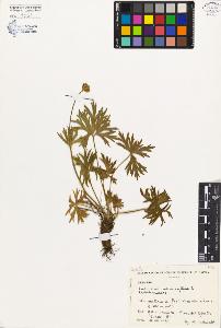 SW_BNB_s3080-00206_IMG-0000000001