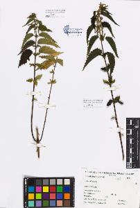 SW_BNB_s3080-00209_IMG-0000000001