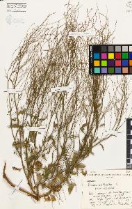 SW_BNB_s3080-00211_IMG-0000000001