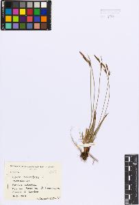 SW_BNB_s3080-00212_IMG-0000000001
