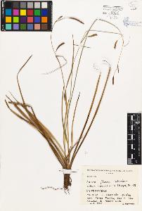 SW_BNB_s3080-00214_IMG-0000000001