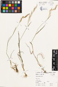 SW_BNB_s3080-00216_IMG-0000000001