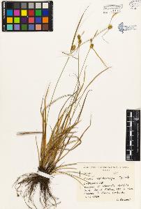 SW_BNB_s3080-00220_IMG-0000000001