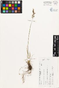 SW_BNB_s3080-00222_IMG-0000000001