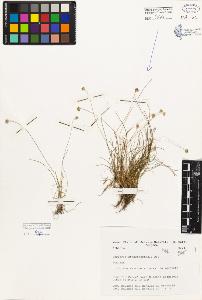 SW_BNB_s3080-00224_IMG-0000000001