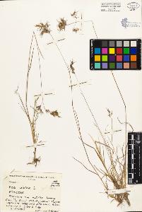 SW_BNB_s3080-00226_IMG-0000000001