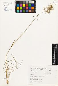 SW_BNB_s3080-00227_IMG-0000000001