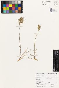SW_BNB_s3080-00228_IMG-0000000001