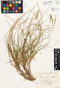 SW_BNB_s3080-00231_IMG-0000000001