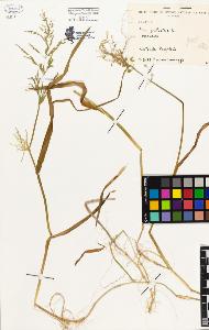 SW_BNB_s3080-00233_IMG-0000000001