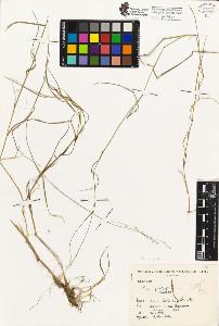 SW_BNB_s3080-00234_IMG-0000000001
