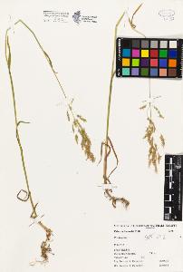 SW_BNB_s3080-00235_IMG-0000000001