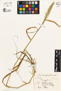 SW_BNB_s3080-00236_IMG-0000000001