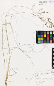 SW_BNB_s3080-00237_IMG-0000000001