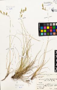 SW_BNB_s3080-00240_IMG-0000000001