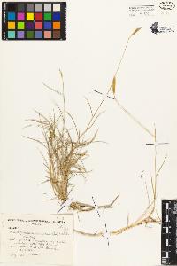SW_BNB_s3080-00244_IMG-0000000001