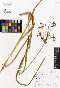 SW_BNB_s3080-00247_IMG-0000000001