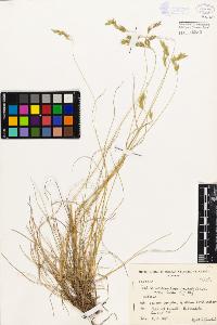 SW_BNB_s3080-00249_IMG-0000000001