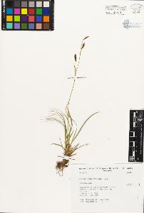 SW_BNB_s3080-00253_IMG-0000000001