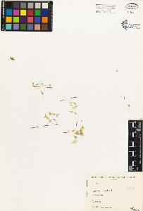 SW_BNB_s3080-00256_IMG-0000000001