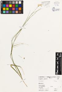 SW_BNB_s3080-00259_IMG-0000000001