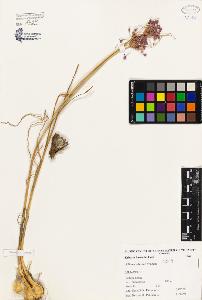 SW_BNB_s3080-00265_IMG-0000000001