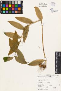 SW_BNB_s3080-00274_IMG-0000000001