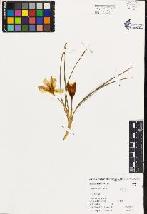 SW_BNB_s3080-00282_IMG-0000000001