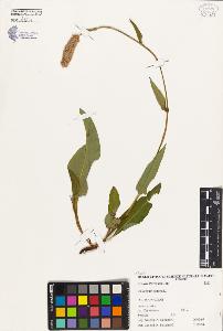 SW_BNB_s3080-00286_IMG-0000000001