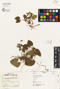 SW_BNB_s3080-00288_IMG-0000000001