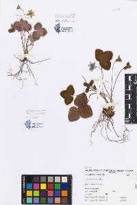 SW_BNB_s3080-00292_IMG-0000000001