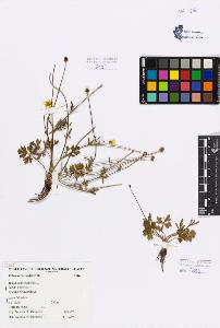 SW_BNB_s3080-00293_IMG-0000000001