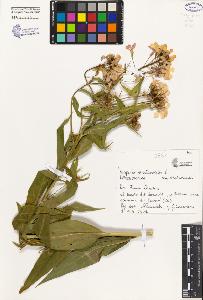 SW_BNB_s3080-00303_IMG-0000000001