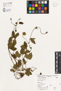 SW_BNB_s3080-00307_IMG-0000000001