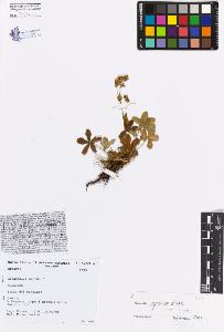 SW_BNB_s3080-00309_IMG-0000000001