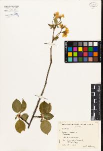 SW_BNB_s3080-00310_IMG-0000000001