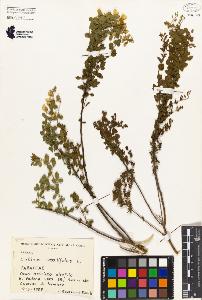 SW_BNB_s3080-00311_IMG-0000000001