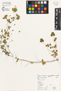 SW_BNB_s3080-00313_IMG-0000000001