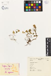 SW_BNB_s3080-00314_IMG-0000000001