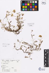 SW_BNB_s3080-00320_IMG-0000000001