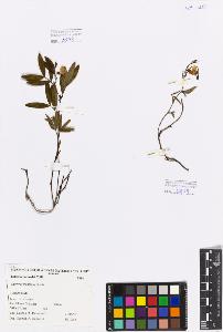 SW_BNB_s3080-00321_IMG-0000000001