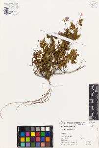 SW_BNB_s3080-00323_IMG-0000000001