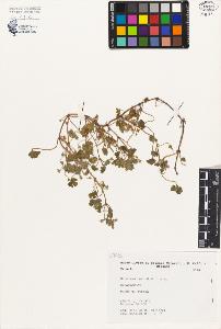 SW_BNB_s3080-00324_IMG-0000000001