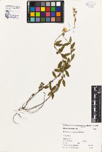 SW_BNB_s3080-00332_IMG-0000000001