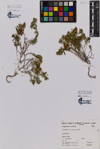SW_BNB_s3080-00333_IMG-0000000001