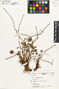 SW_BNB_s3080-00338_IMG-0000000001